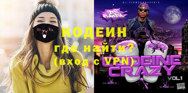 дживик Снежногорск